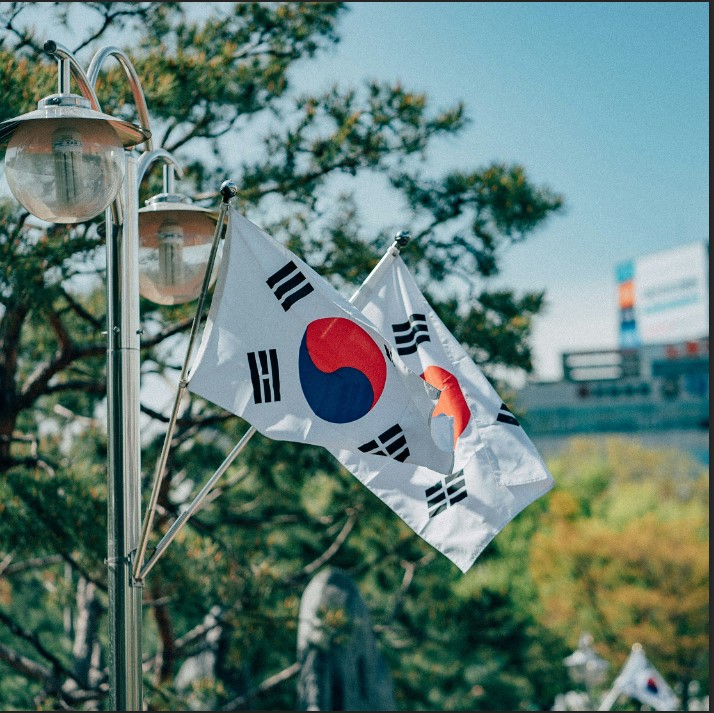 Why is South Korea going to be the dream destination for Indian students